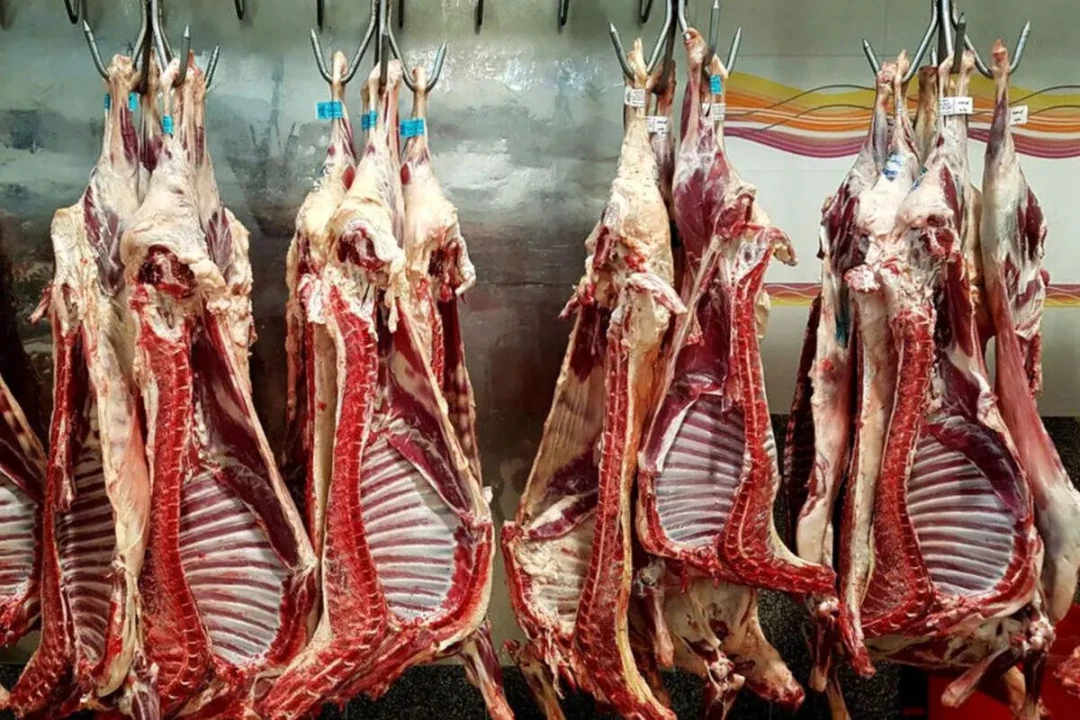 قیمت گوشت قرمز امروز ۵ آبان ۱۴۰۴ اعلام شد + جدول قیمت گوشت قرمز امروز ۵ آبان ۱۴۰۴ اعلام شد + جدول