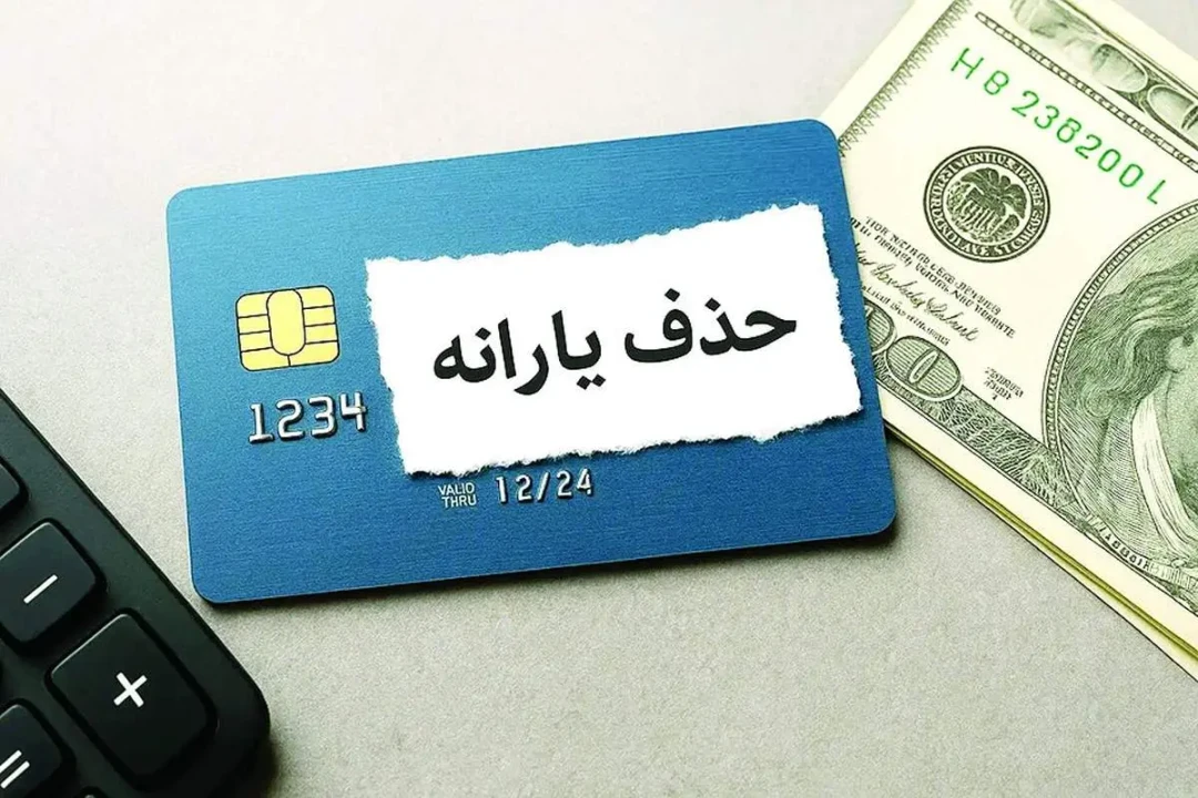 یارانه خانوارها برچه اساسی حذف میشود؟ یارانه خانوارها برچه اساسی حذف میشود؟