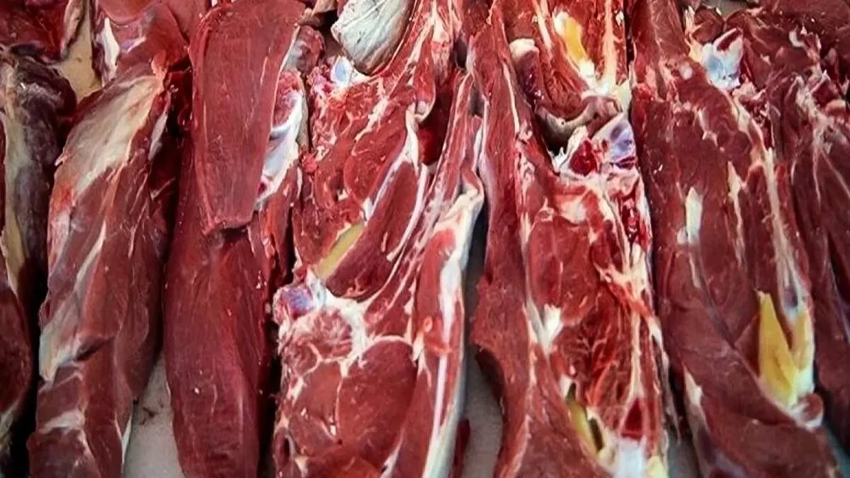قیمت گوشت قرمز امروز پنجشنبه ۱۹ شهریور ۱۴۰۵ +جدول