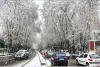 بارش سراسری برف در تهران خبرساز شد