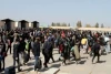 آمار وحشتناک از حضور میلیونی افغان ها در ایران!