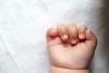 تولد نوزاد عجول بابلی در دل برف+ عکس