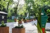 قطع درختان قیطریه برای ساخت مغازه و مسجد