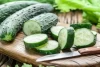 از این ۵ خوراکی آبرسان برای بدن غافل نشوید!