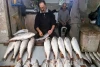 صید ماهی از سفره مردم؛ سقوط سرانه مصرف ماهی در ایران