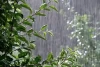 پیش بینی وضعیت آب و هوا؛ هوای این استانها بارانی است